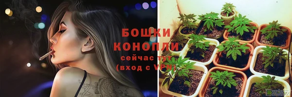 стафф Чегем