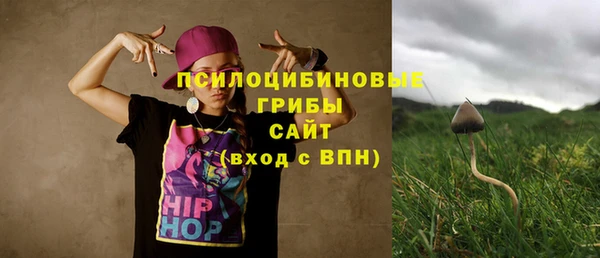 винт Чердынь