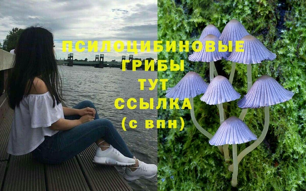 стафф Чегем