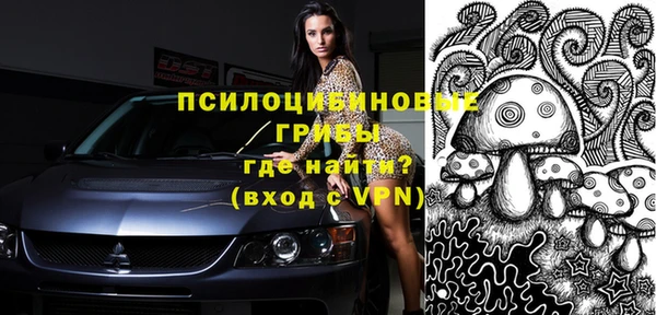 стафф Чегем