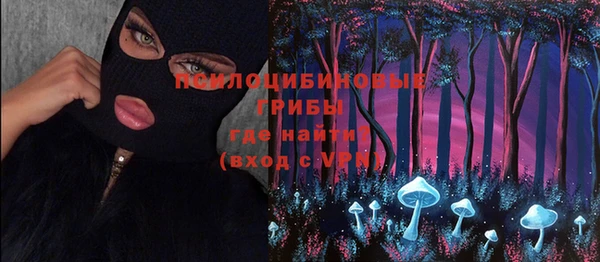 стафф Чегем