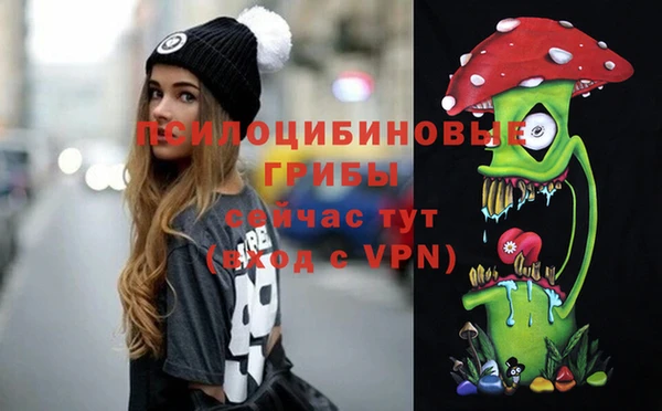 винт Чердынь